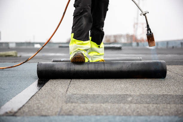 Best Solar Panel Roofing Installation  in Liberty, NC